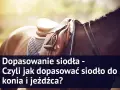 Twój koń cierpi? Jak prawidłowo dopasować siodło krok po kroku