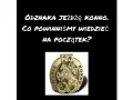 Odznaka Jeżdżę Konno: Kompletny przewodnik zdaj za 1. razem!