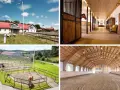 Stadnina koni na sprzedaż: Kompleksowy przewodnik dla inwestora