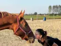Jeździectwo naturalne: Książki, które zmienią Twoją relację z koniem