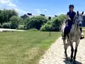 Stadnina koni Warmia i Mazury: Wybierz idealne miejsce dla siebie!