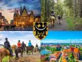 Wrocław: Jeździectwo naturalne stajnie, kursy, ceny. Co warto wiedzieć?