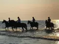 Jazda konna Łeba i Nowęcin: Najlepsze stadniny, ceny, plaża!