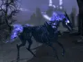 Skyrim: Jak przywołać konia? Tylko Arvak reaguje na zaklęcie!