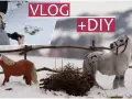 Jak zrobić paśnik dla koni? Bezpieczny DIY krok po kroku