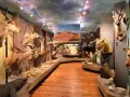 Muzeum Łowiectwa i Jeździectwa Warszawa: Odkryj sekrety Łazienek