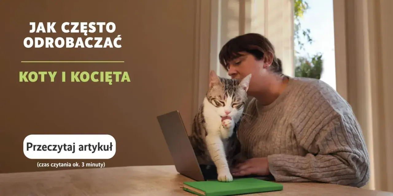 Odrobaczanie kota: Ile trwa i jak skutecznie chronić pupila?