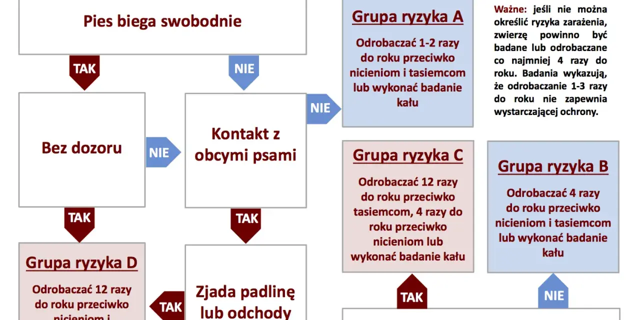 Odrobaczanie szczeniaka: Kompletny harmonogram i porady eksperta