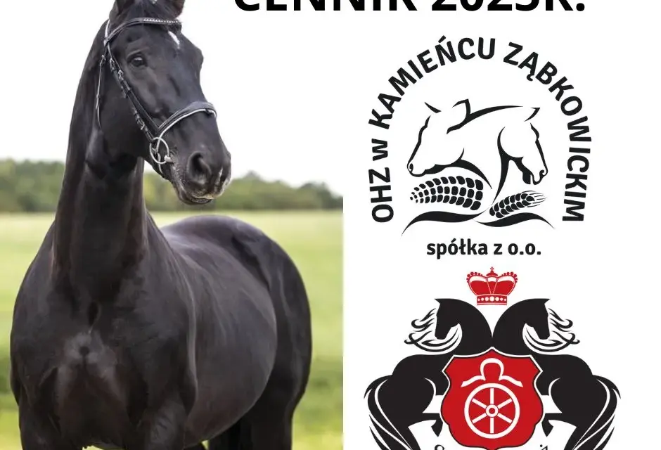 Planujesz wizytę w Książu? Sprawdź aktualny cennik stadniny!
