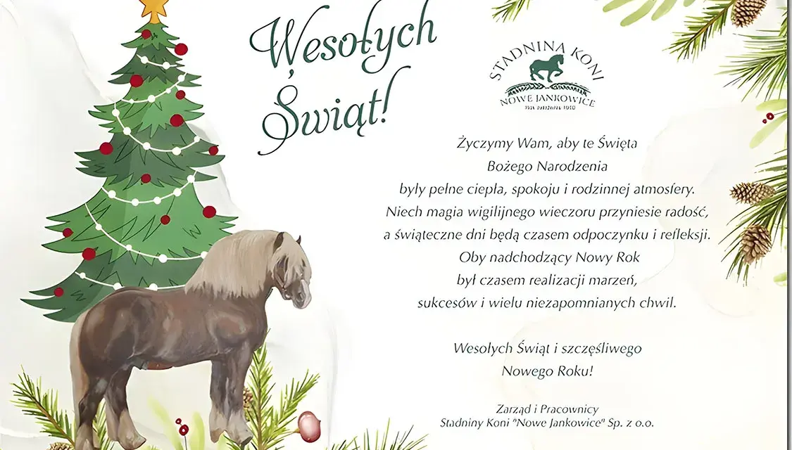 Stajnia Jomir Nowe Jankowice: Odkryj jazdę konną i pensjonat!
