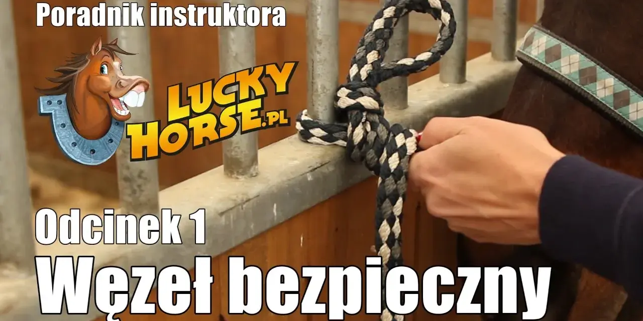 Jak zrobić lizawkę dla konia? Bezpieczny przepis krok po kroku