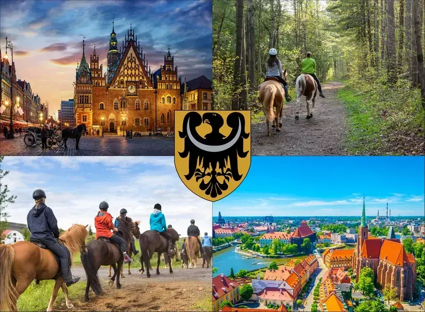 Wrocław: Jeździectwo naturalne stajnie, kursy, ceny. Co warto wiedzieć?
