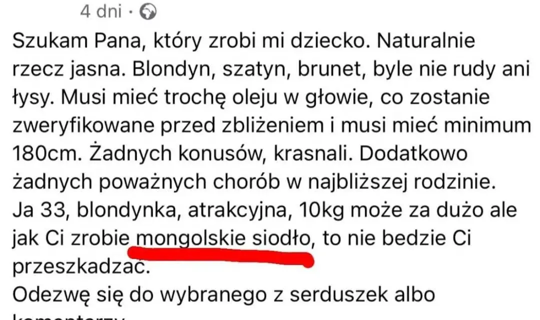 Co to jest mongolskie siodło? Niezwykła historia i budowa