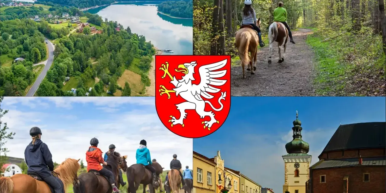 Jazda konna Dębica: Gdzie, ile, dla kogo? Pełny przewodnik