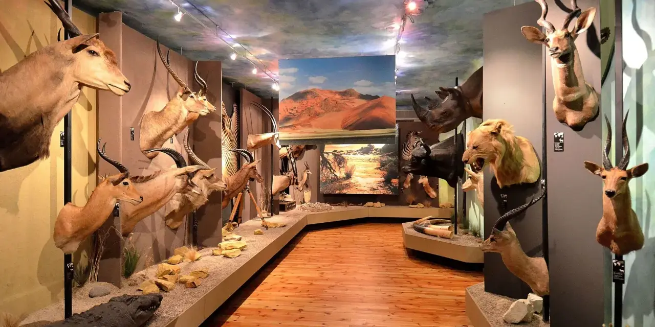 Muzeum Łowiectwa i Jeździectwa Warszawa: Odkryj sekrety Łazienek