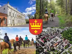 Stadniny koni Starogard Gdański: Jak wybrać i ile to kosztuje?