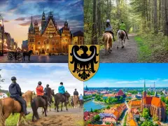 Wrocław: Jeździectwo naturalne stajnie, kursy, ceny. Co warto wiedzieć?