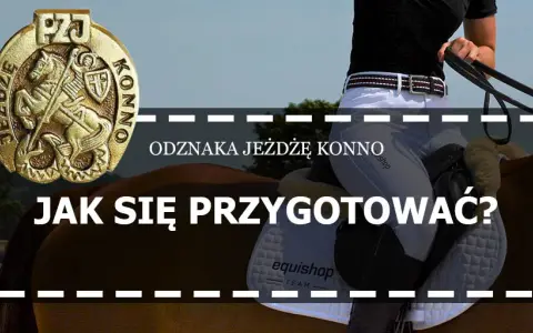 Co daje odznaka "Jeżdżę Konno"? Wszystko, co musisz wiedzieć
