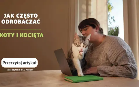 Odrobaczanie kota: Ile trwa i jak skutecznie chronić pupila?
