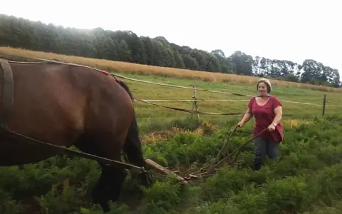 Pasja do koni na Śląsku: edukacja i kariera. Jak zacząć?