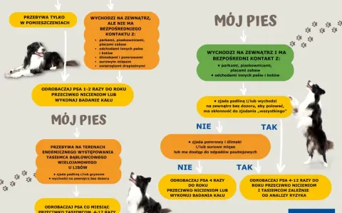 Co ile odrobaczać psa? Pełny harmonogram i porady eksperta