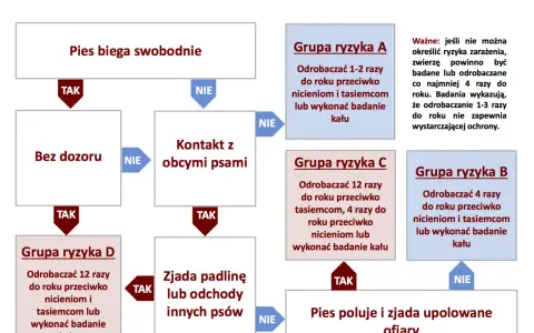 Odrobaczanie szczeniaka: Kompletny harmonogram i porady eksperta