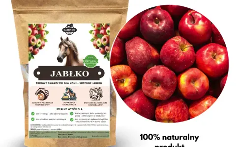 Jakie owoce i warzywa dla konia? Bezpieczne smakołyki i zakazy