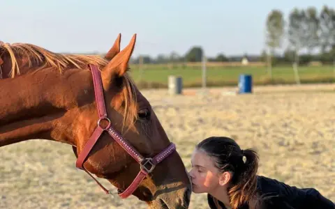 Jeździectwo naturalne: Książki, które zmienią Twoją relację z koniem