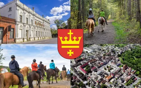 Stadniny koni Starogard Gdański: Jak wybrać i ile to kosztuje?