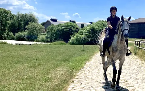 Stadnina koni Warmia i Mazury: Wybierz idealne miejsce dla siebie!