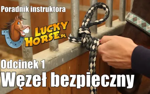 Jak zrobić lizawkę dla konia? Bezpieczny przepis krok po kroku