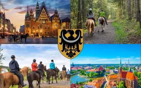 Wrocław: Jeździectwo naturalne stajnie, kursy, ceny. Co warto wiedzieć?