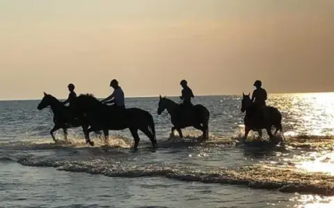 Jazda konna Łeba i Nowęcin: Najlepsze stadniny, ceny, plaża!