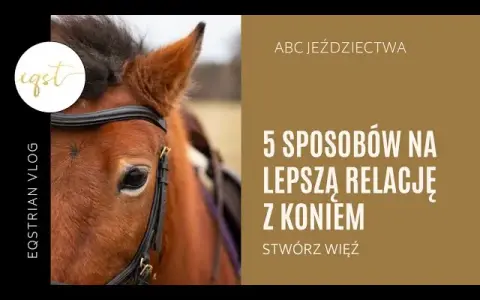 Koń Cię wybrał? Odkryj, jak budować zaufanie i głęboką więź