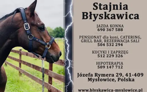 Stadnina koni Mysłowice: Pełny przewodnik ceny, oferta, jak zacząć?