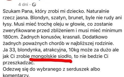 Co to jest mongolskie siodło? Niezwykła historia i budowa