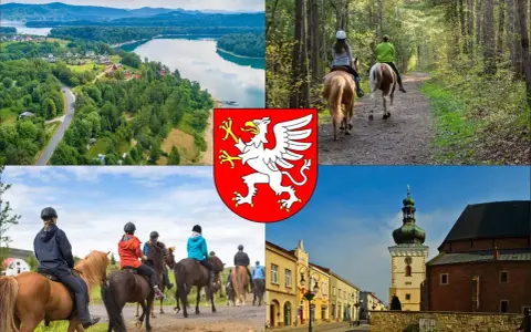 Jazda konna Dębica: Gdzie, ile, dla kogo? Pełny przewodnik