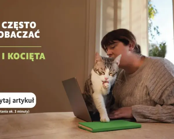 Odrobaczanie kota: Ile trwa i jak skutecznie chronić pupila?