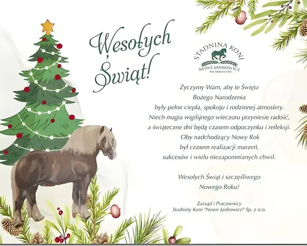 Stajnia Jomir Nowe Jankowice: Odkryj jazdę konną i pensjonat!