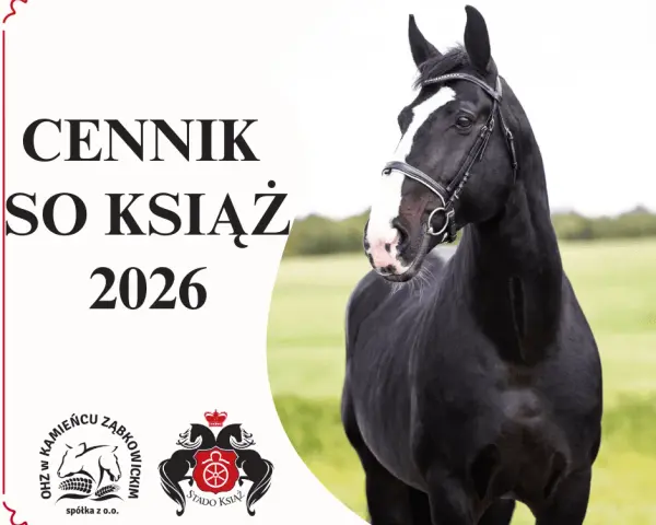 Stado Ogierów Książ: serce koni śląskich planuj wizytę!