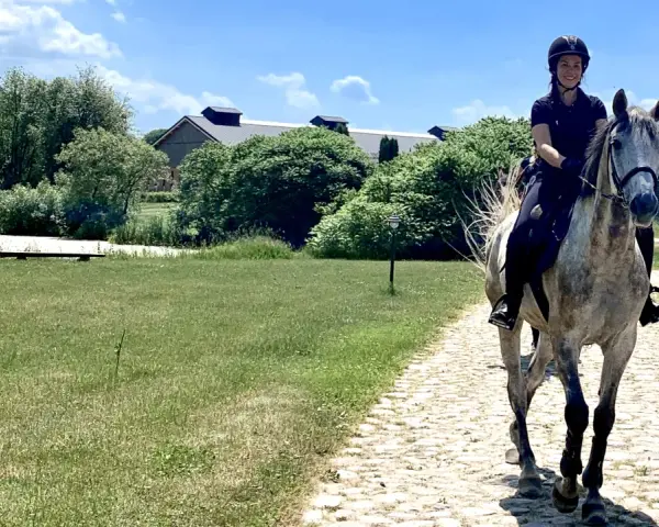 Stadnina koni Warmia i Mazury: Wybierz idealne miejsce dla siebie!
