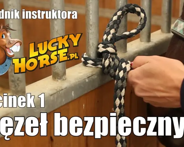 Jak zrobić lizawkę dla konia? Bezpieczny przepis krok po kroku