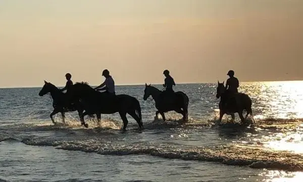 Jazda konna Łeba i Nowęcin: Najlepsze stadniny, ceny, plaża!