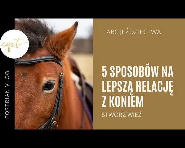 Koń Cię wybrał? Odkryj, jak budować zaufanie i głęboką więź