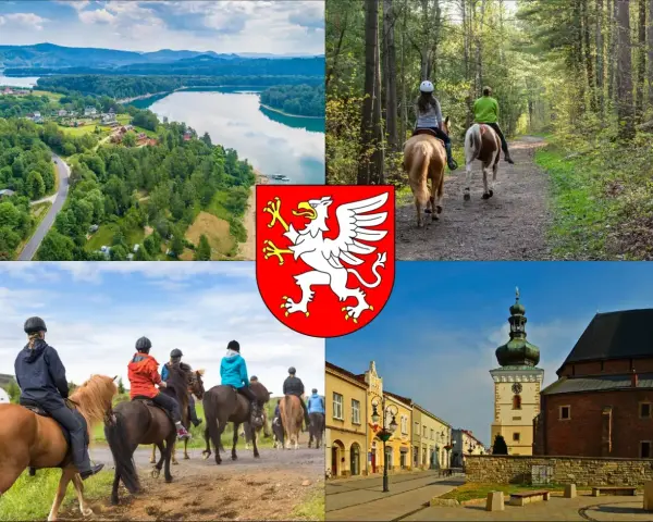 Jazda konna Dębica: Gdzie, ile, dla kogo? Pełny przewodnik