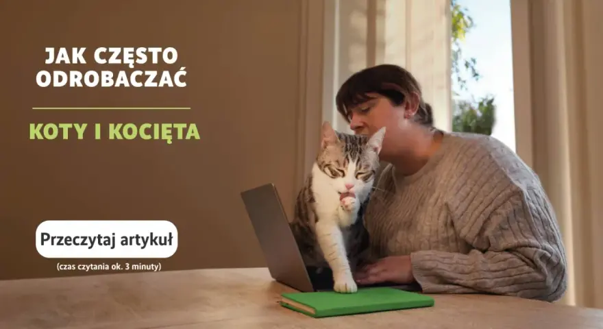 Odrobaczanie kota: Ile trwa i jak skutecznie chronić pupila?