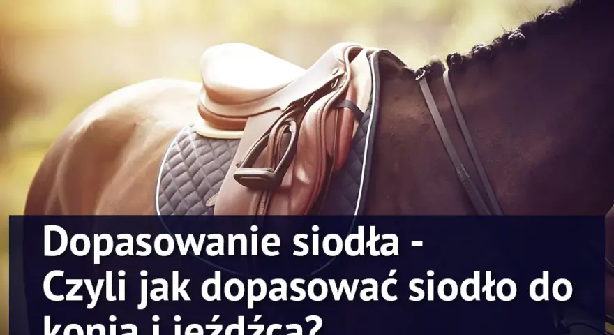 Twój koń cierpi? Jak prawidłowo dopasować siodło krok po kroku