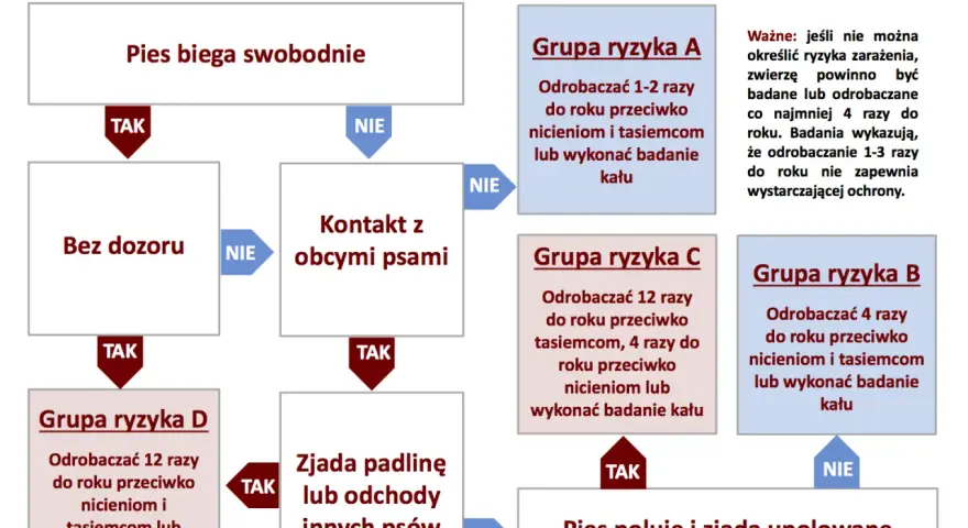 Odrobaczanie szczeniaka: Kompletny harmonogram i porady eksperta