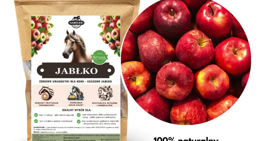 Jakie owoce i warzywa dla konia? Bezpieczne smakołyki i zakazy