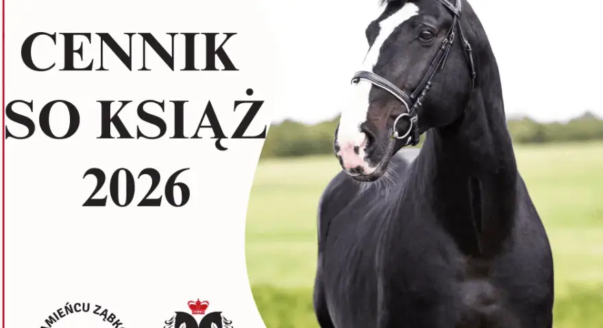 Stado Ogierów Książ: serce koni śląskich planuj wizytę!